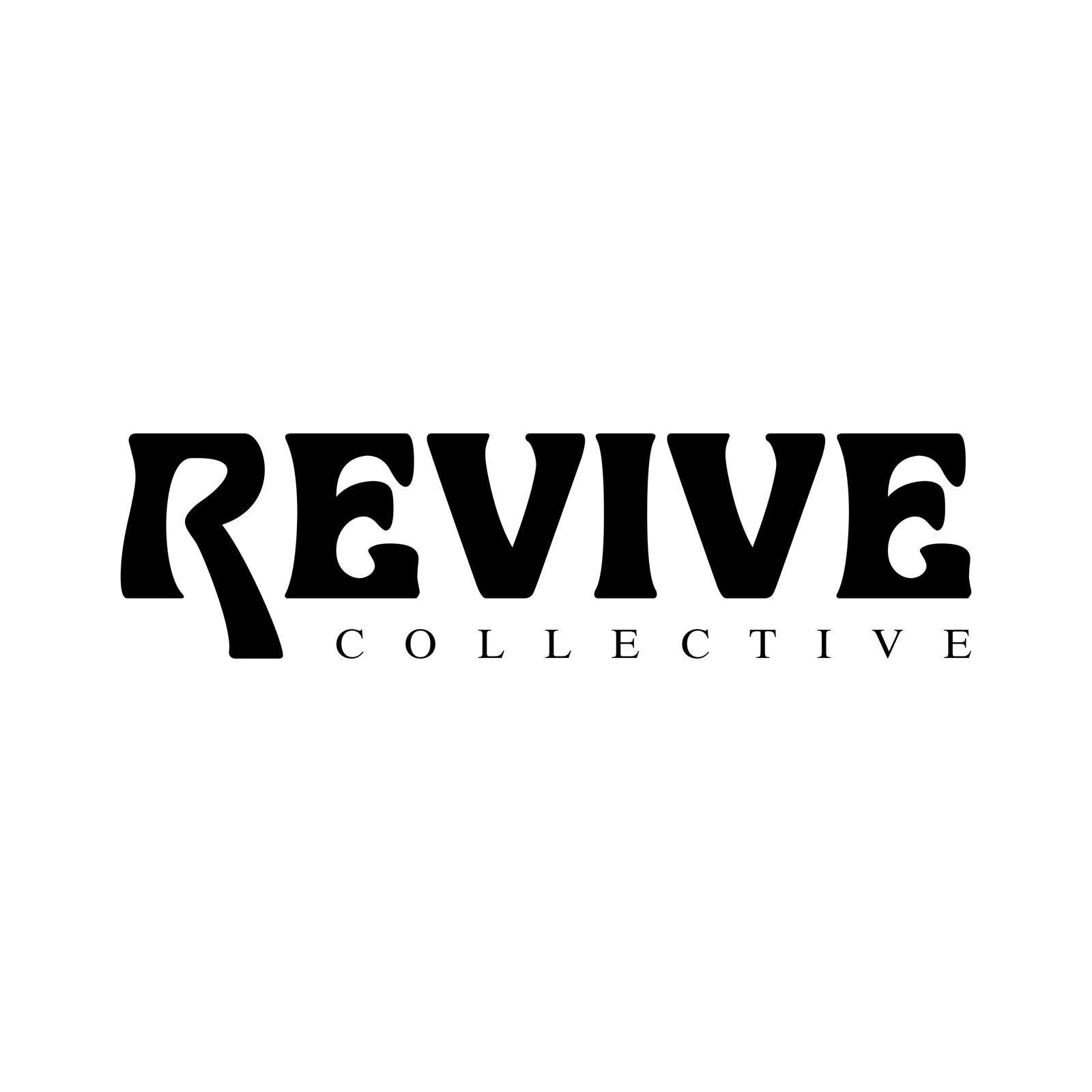 CHRISTIAN DIOR by GALLIANO Logo Mini Pochette – Revive Collective